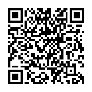 张铁就知道家人和自己的老哥修建金乌城的时候是什么样的心情二维码生成