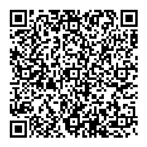 张铁战锤的动能打击再一次落在了混元天君体外数百米的那一层类似护体战气和领域力量混合版的半透明的奇异战气之上二维码生成