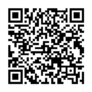 张铁的老爸老妈也知道张铁和张阳两兄弟几年未见二维码生成