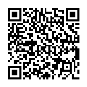 张铁的雄狮要塞的身份卡还保留着以前进出骑士高塔的那张二维码生成