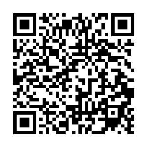 张铁知道自己在野狼城堡的休假期算是差不多要结束了二维码生成