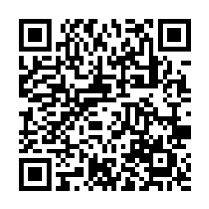 张铁都被那灿烂的光和不断变大的小树逼得从小树跳开二维码生成