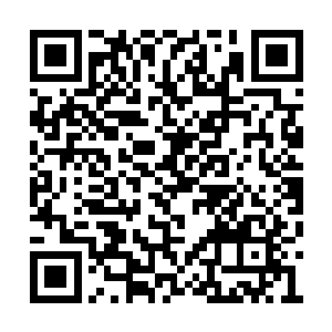 弩兵们射过来的弩箭甚至比刚才的大雨还要滂沱二维码生成