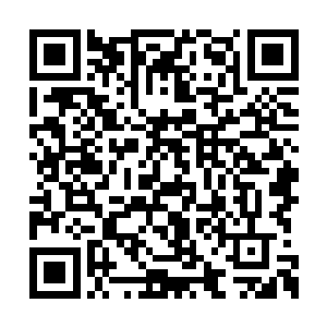 弯曲的后背让林烽的全身再一次跟着颤抖了一番二维码生成