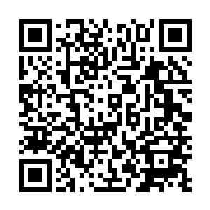 强力的学院内好感度让他的校园计划也推行的极为有效率二维码生成