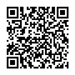 强劲的能量暴潮令方圆十公里之内冰冻的地面统统解冻二维码生成