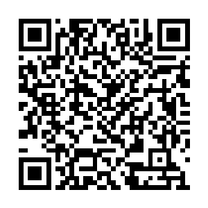 强哲松却渐渐的发现自己这个孙子最可怕的一幕二维码生成