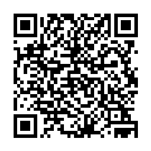 强大的内力外放直接正面撞在了那个准影级的岛国忍者身上二维码生成