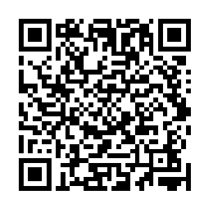 强大的安泽地女巫曾经担任过某一个时代的费南位面守护二维码生成