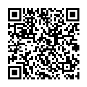 强大的气势让那两名烛龙派成员的脸上有了一丝动容二维码生成