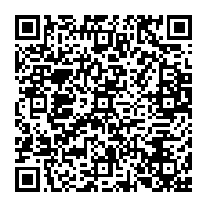 强大的能量夹杂着一股好似能毁天灭地的威力将这片比外界都要坚固许多的空间都切割出一条细小的黑色裂缝二维码生成