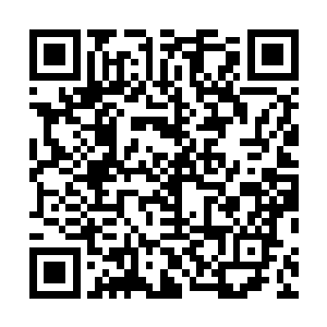 强忍着眼里的酸涩用了半天时间把龙战手上的伤口处理好二维码生成