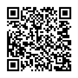 强悍无匹的波动使得整片区域都瞬间陷入了一片特殊的场域之中二维码生成