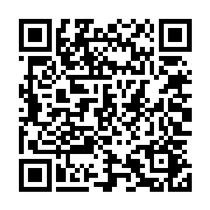 强横无匹的神魂数据被一台锈迹斑斑的老式灵能傀儡承载着二维码生成