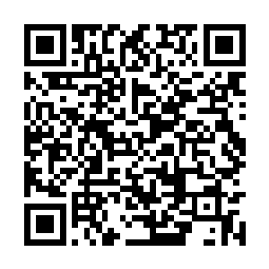 强烈的阳光几乎大部分都被这些茂密的枝叶所挡住二维码生成