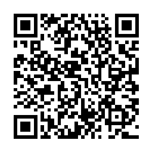 强猛的攻击即便是面对高自己一阶的对手也丝毫不显弱势二维码生成