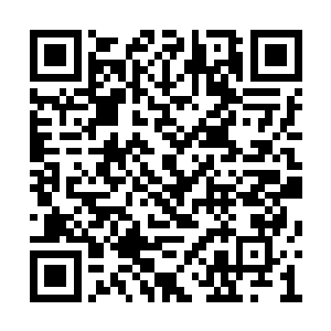 强行按捺住推开其他门去其余位面看看的好奇心二维码生成
