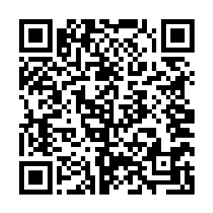 强行给这些原本并不是奴隶身份的无角人平民都打上奴隶印记二维码生成