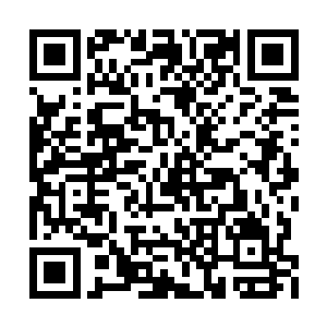 归一大神和大神级别的尸体傀儡一直在激烈对轰二维码生成