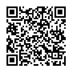归一大神和独角兽一直都静静地立在琳遐界主身边二维码生成