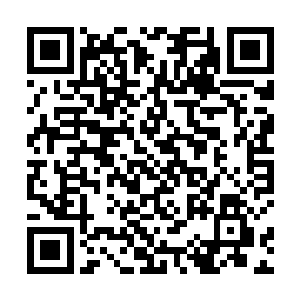 归墟之主虽然已经授予了老转轮王代理归墟之主的头衔二维码生成
