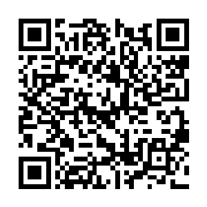 当一只又一只的野狗像人一样勉强地两脚直立起来二维码生成