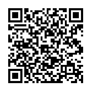 当一名祝融族的测试者处在最初的海底火山环境中二维码生成