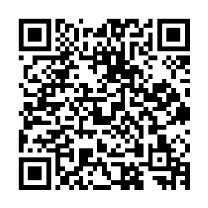 当下便将自己这一次离开迷族发生的一切都精简地告知了月鼎天二维码生成
