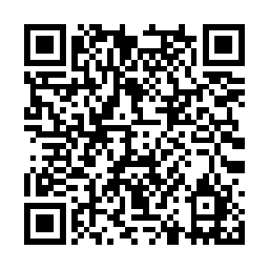 当下大长老直接将之前的事情完完整整的说了一遍二维码生成