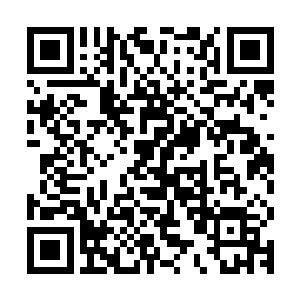 当下由白冰儿施法召出了一个寒冰护卫在村中驿馆中保护翟冰清二维码生成