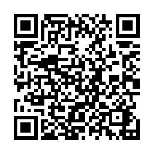 当下身在机场的这批号称廖辽最铁杆的歌迷们却突然发现二维码生成