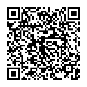 当下龙傲天也调动眉心的天罚之眼中的雷罚之力朝着天雷珠中涌去二维码生成