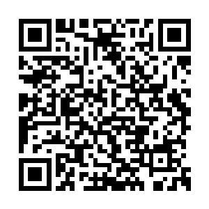 当两个年纪相差不大的少女同时走上擂台的时候二维码生成