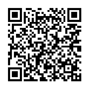 当亚德里恩先生和朱晋岩出现在新闻发布会现场的时候二维码生成