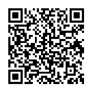 当人们发现这次演示骨器的竟然是一名无角人时二维码生成