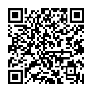 当今世界上能喊得出名字的机甲百分之六十出自天元二维码生成