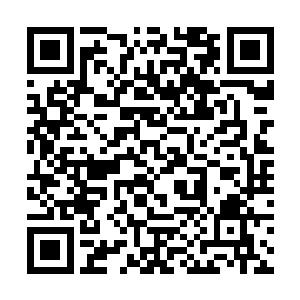 当他们的目光一落到正蹲在院落中间的虎型傀儡之时二维码生成