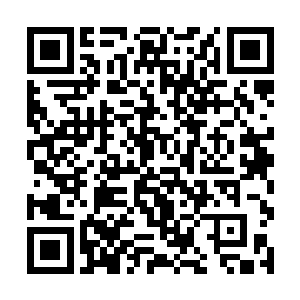 当他们的血牛刚刚冲出去一段路就发觉有些不对劲了二维码生成