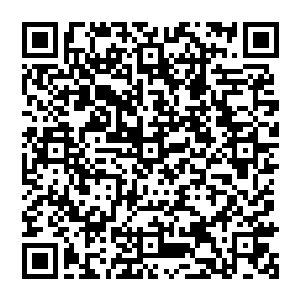 当他们看到两个秦宇一拳轰死天马阁阁主的时候一个个都震惊的张大了嘴巴却发不出任何的声音二维码生成