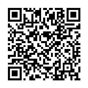 当他们看到秦宇房间原址上的那一坨绿色的大便二维码生成