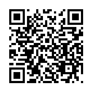 当他们知道你成为了叶族后辈第一人二维码生成