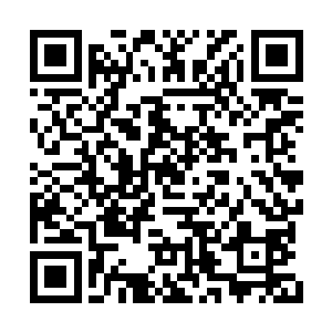 当他们还没有为星辰冒险团做出什么贡献的时候二维码生成