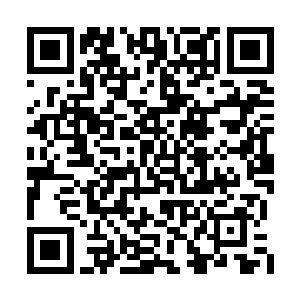 当他发现王少志的元力护罩开始坚持不住的时候二维码生成