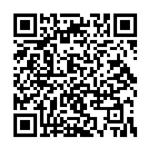 当他宣布最佳女配角的得奖者是安娜一帕奎因时二维码生成