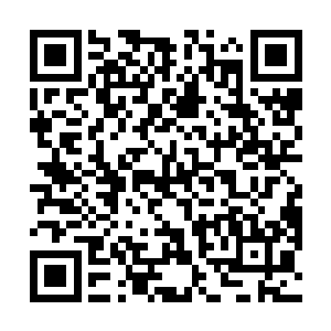 当他当初听到萧易冷静的向他说出他的那些计划的时候二维码生成