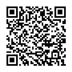 当他想要飞到雷天的身边直接把雷天撕碎的时候二维码生成