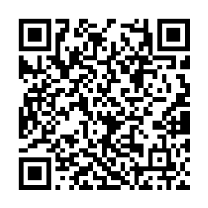 当他抬头看着那栋庄严的办公楼时自嘲的笑了一声二维码生成