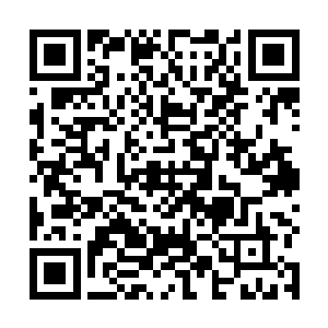 当以主宰级势力夜冥剑宗和另外的十个霸主级势力为主二维码生成