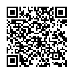 当众人回过神来之时风清扬已经拧下了那位弟子的脑袋二维码生成