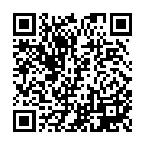 当众人赶到黑蝠山的时候他们才发现自己被骗了二维码生成